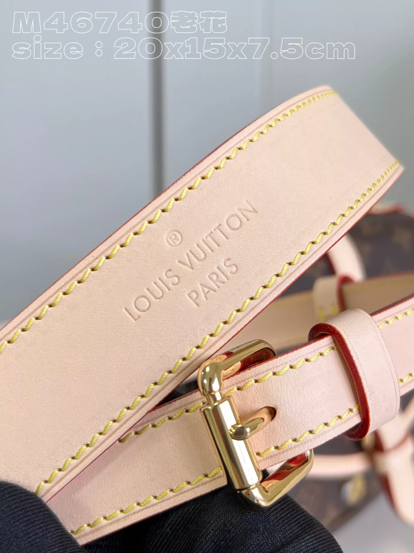 LV Saumur BB Monogram Bag - ReplicaBags.is - Image 8