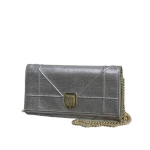 Christian Dior Silver Diorama WOC