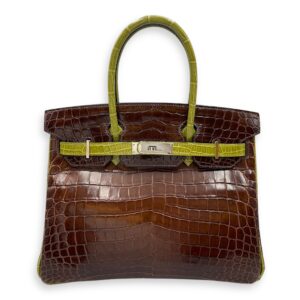 Birkin 30 Cocoan/Vert Anis in Shiny Niloticus, Palladium hardware