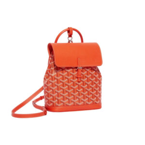 Goyard Alpin Mini Backpack - Repbags.ru