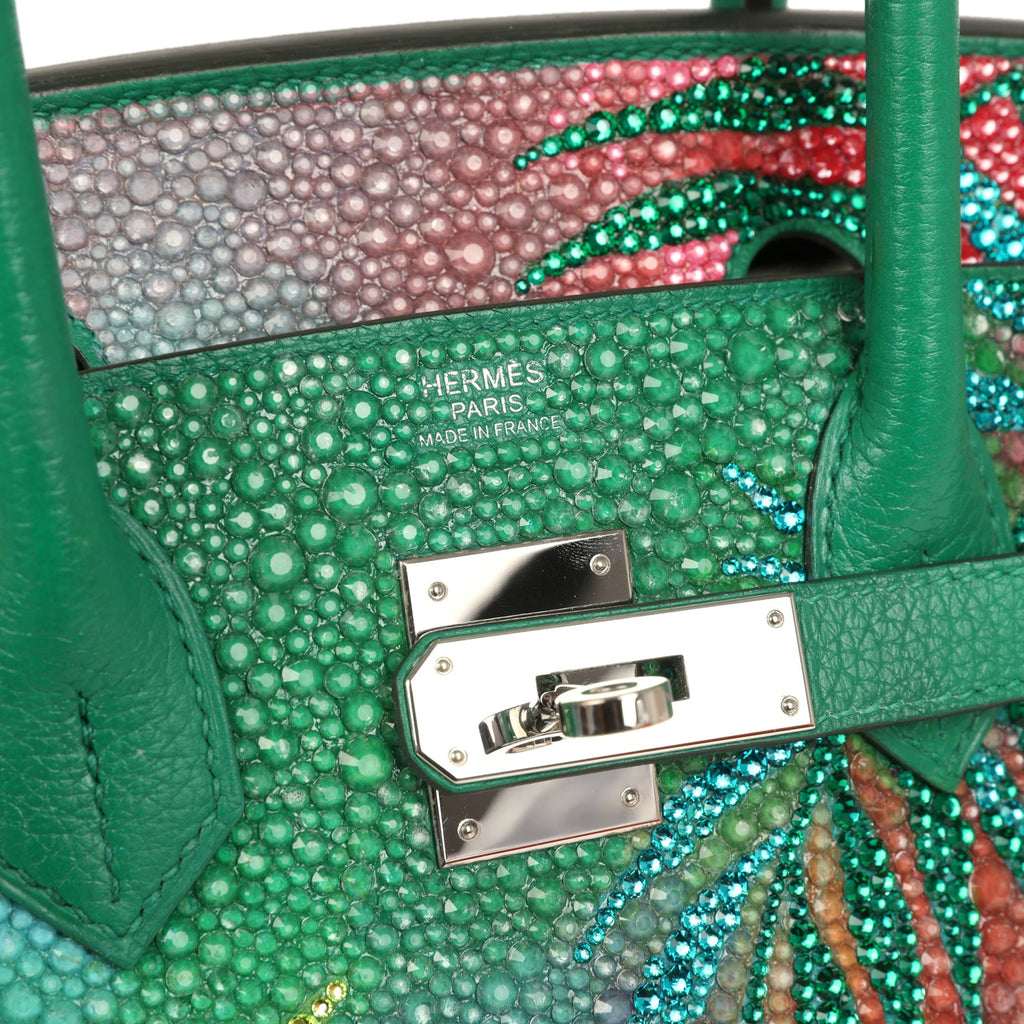 Custom "Paradise" Swarovski Crystal Hermes Birkin 30 Vert Vertigo Togo Palladium Hardware - Image 8