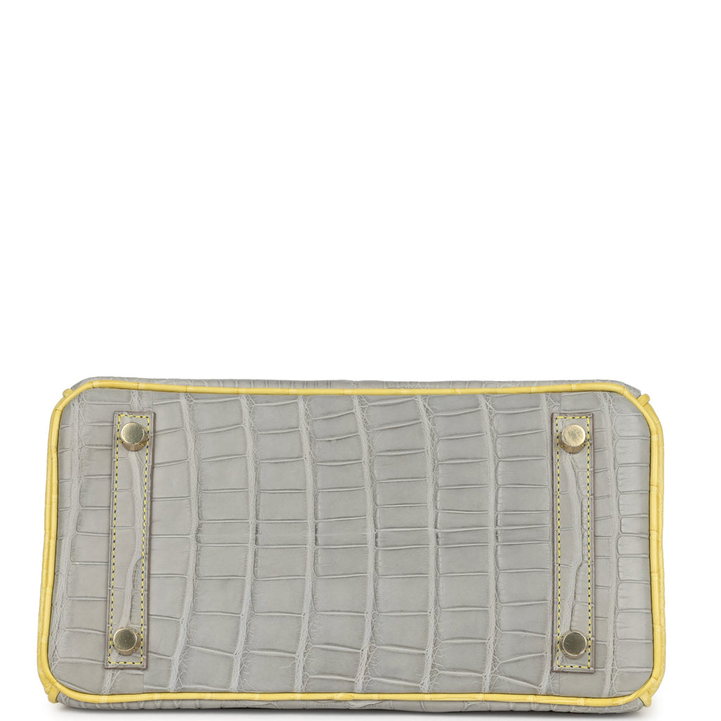 Hermes Special Order (HSS) Birkin 25 Gris Perle and Mimosa Matte Alligator Brushed Gold Hardware - Image 7