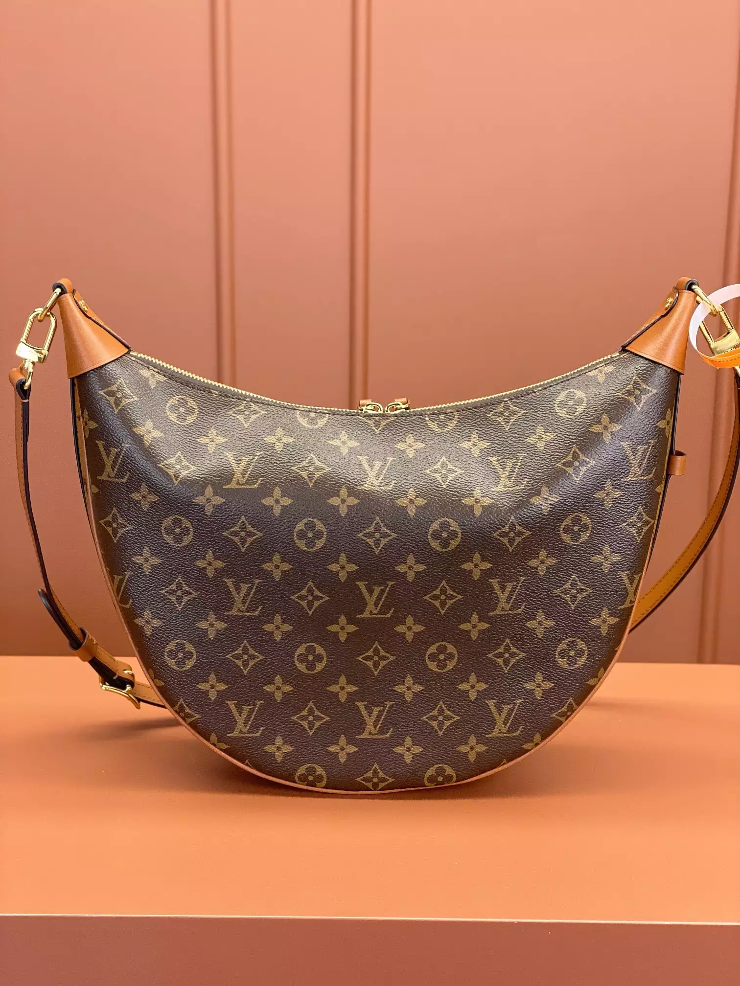 Loop Hobo Monogram and Monogram Reverse Coated Canvas - Repbags.ru - Image 4