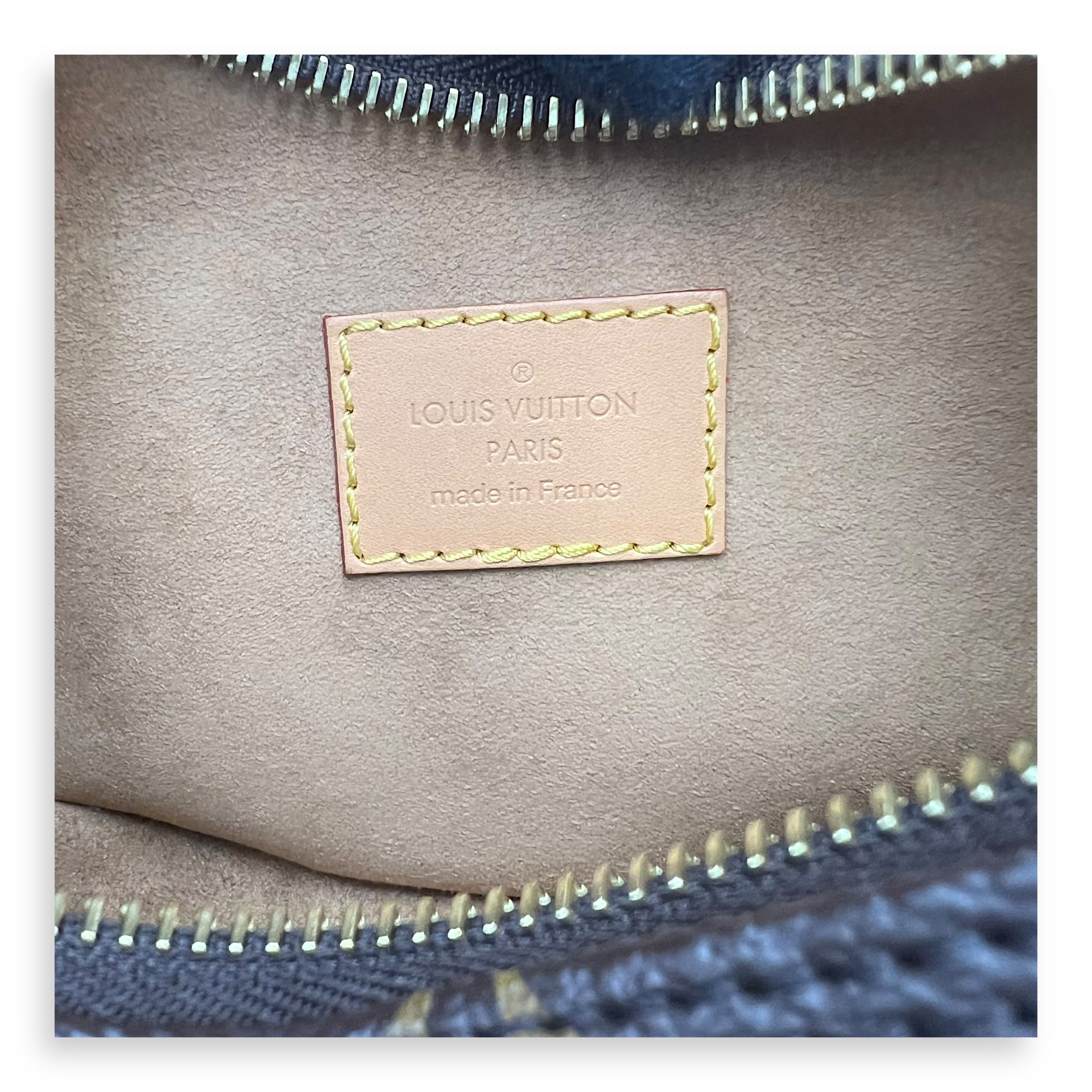 Loop Shoulder Bag Brown in Monogram Coated Canvas, Gold hardware - Image 9