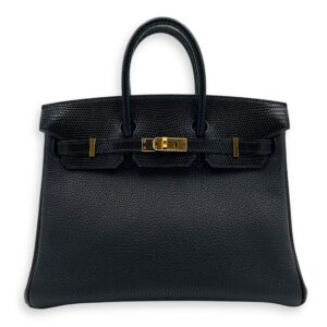 Birkin Touch 25 Noir Top Handle Bag in Togo & Lizard, Gold hardware