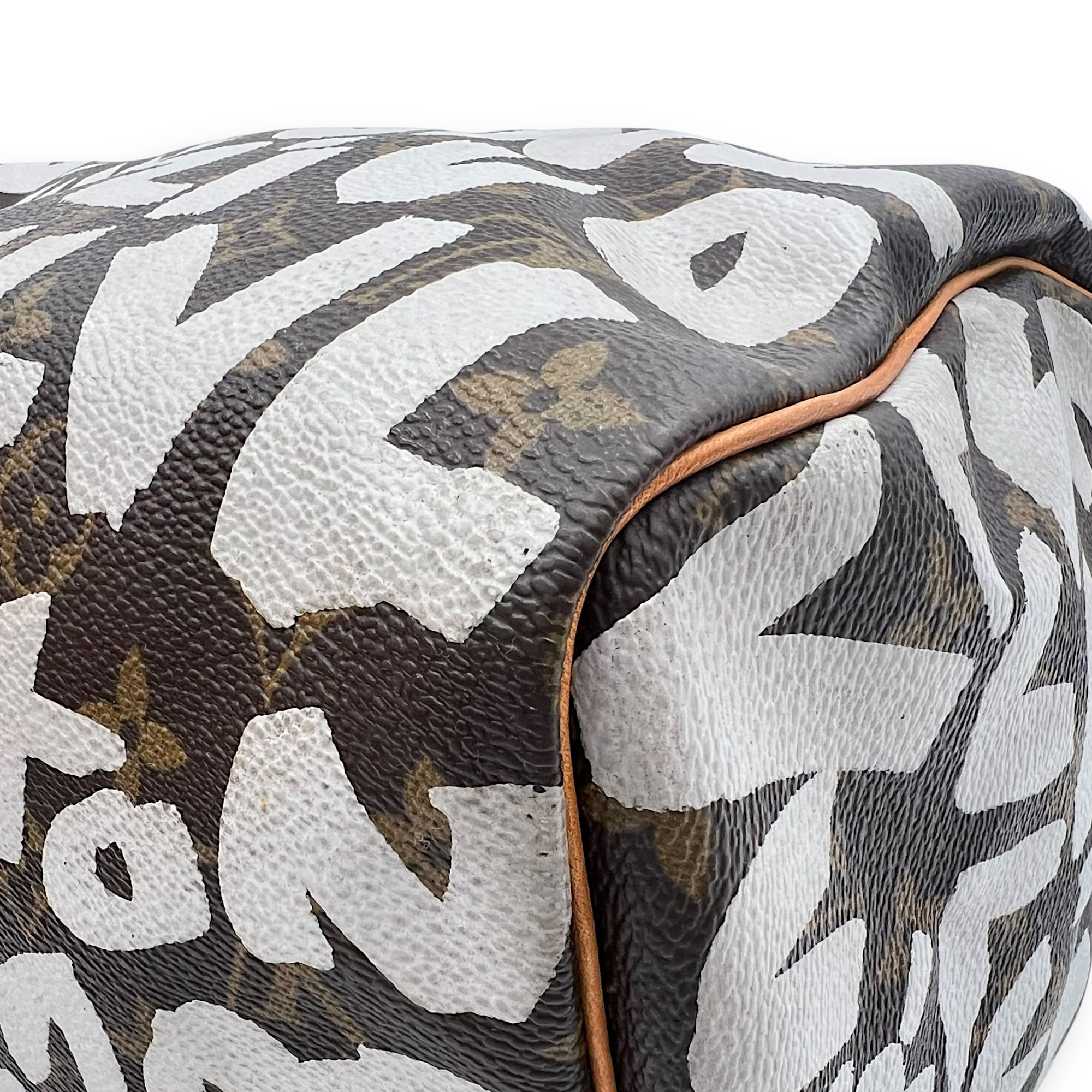 Speedy Sprouse Top Handle Bag 30 Brown in Monogram Coated Canvas, Gold hardware - Image 10