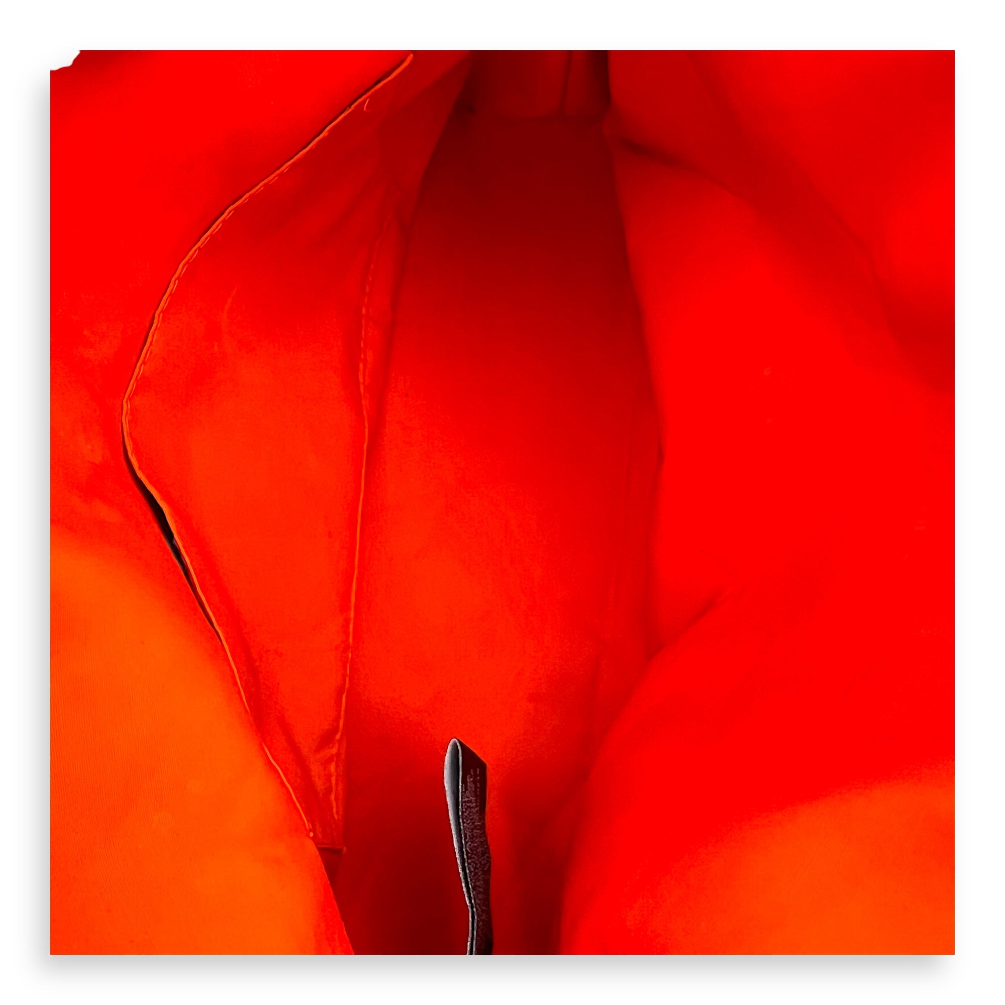 Bolide Black in Canvas, Palladium hardware - Image 12