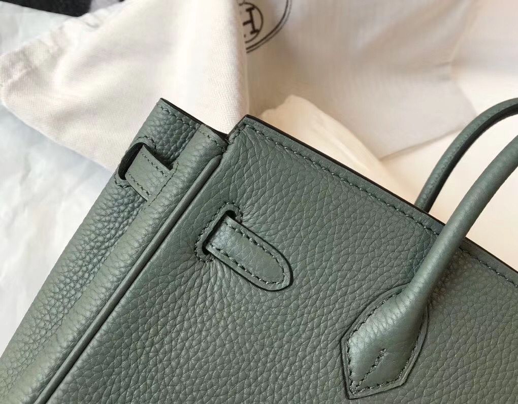 Hermes Birkin 25cm Bag In Vert Amande Clemence Leather GHW - Image 6