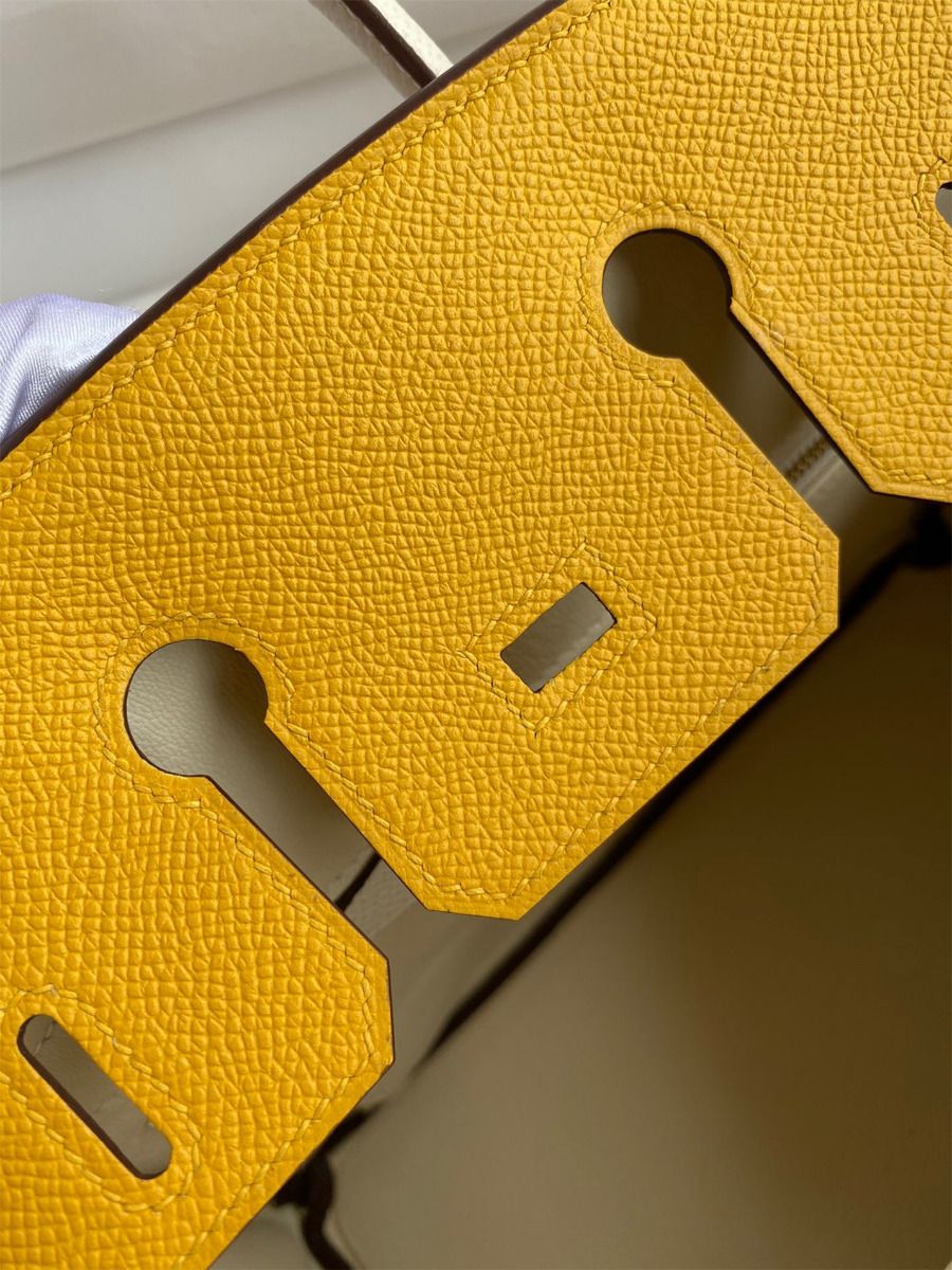 Hermes HSS Birkin 25 Bicolor Bag in Jaune d'or and Craie Epsom Calfskin - Image 10