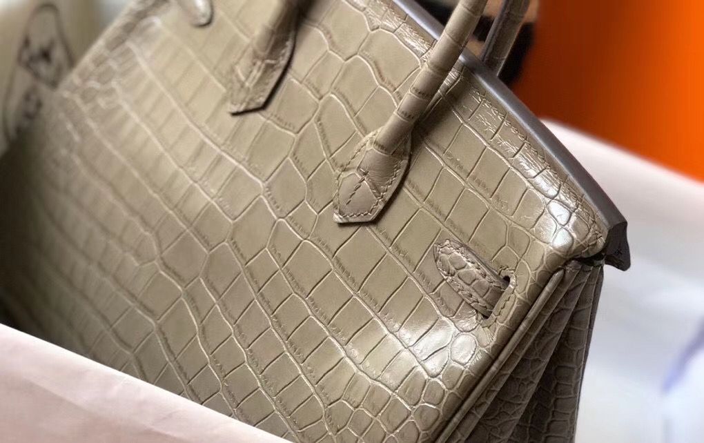Hermes Birkin 25cm Bag In Taupe Embossed Crocodile Leather - Image 6