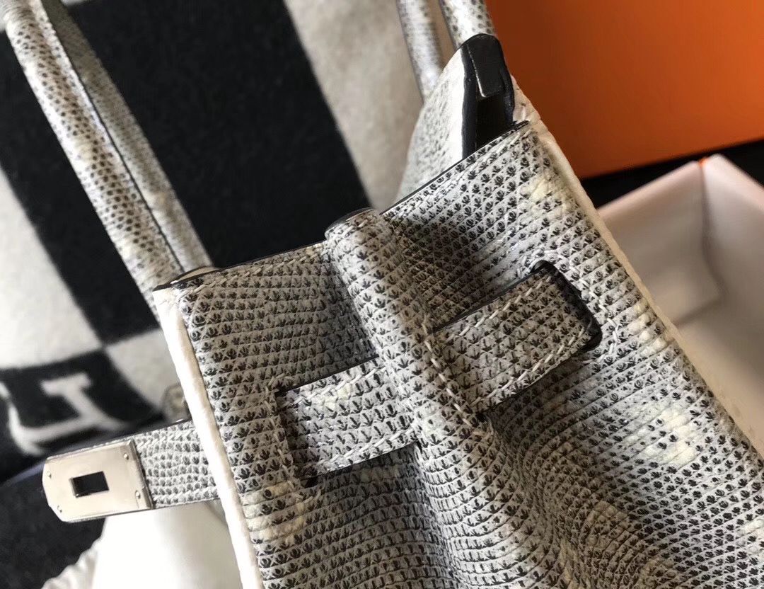 Hermes Birkin 25cm Bag In Ombre Embossed Natural Lizard - Image 6