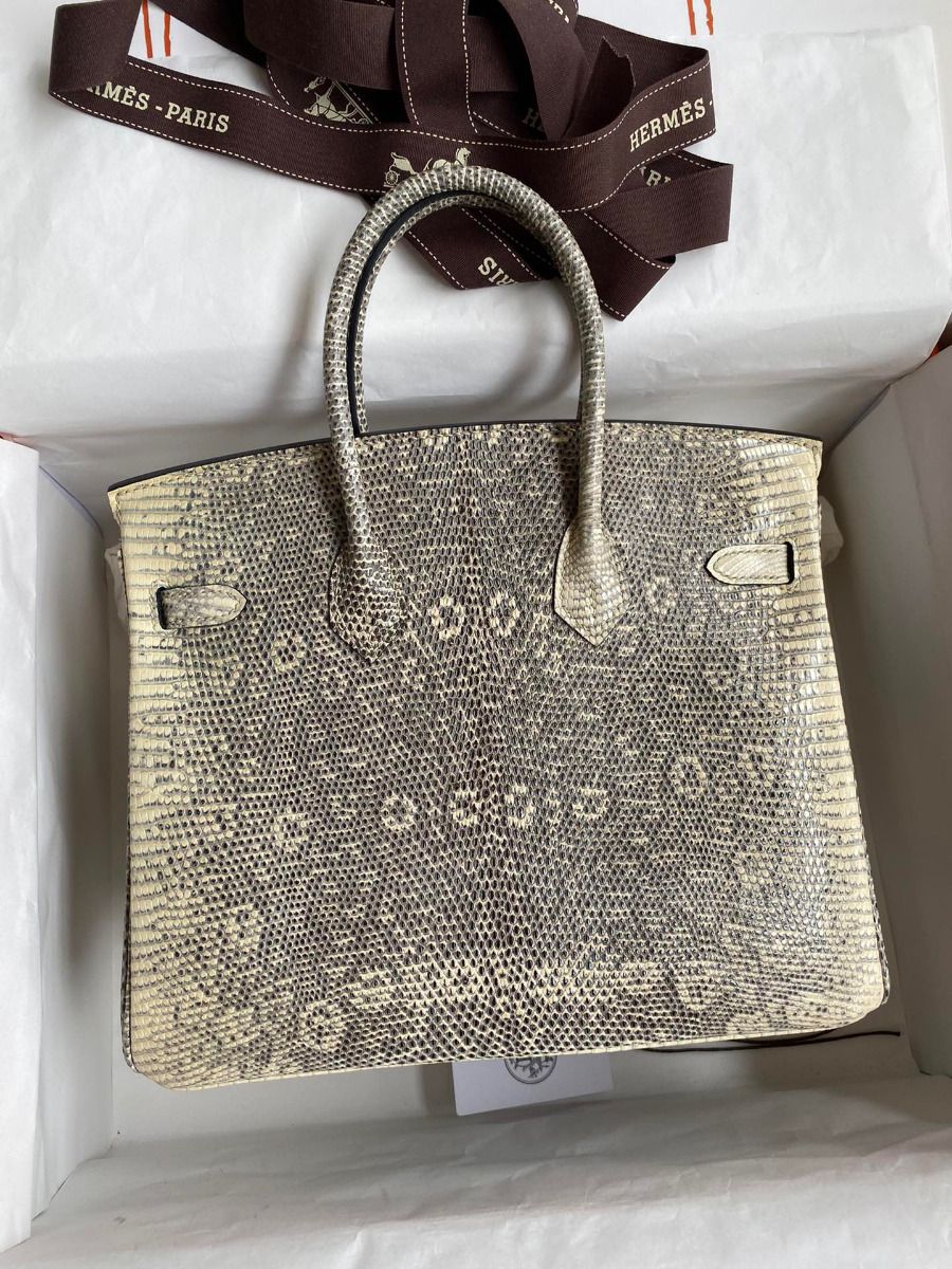 Hermes Birkin 25 Retourne Handmade Bag In Ombre Lizard Leather - Image 3