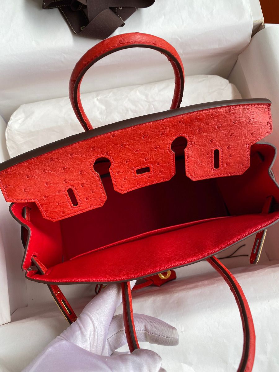 Hermes Birkin 25 Retourne Handmade Bag In Red Ostrich Leather - Image 8