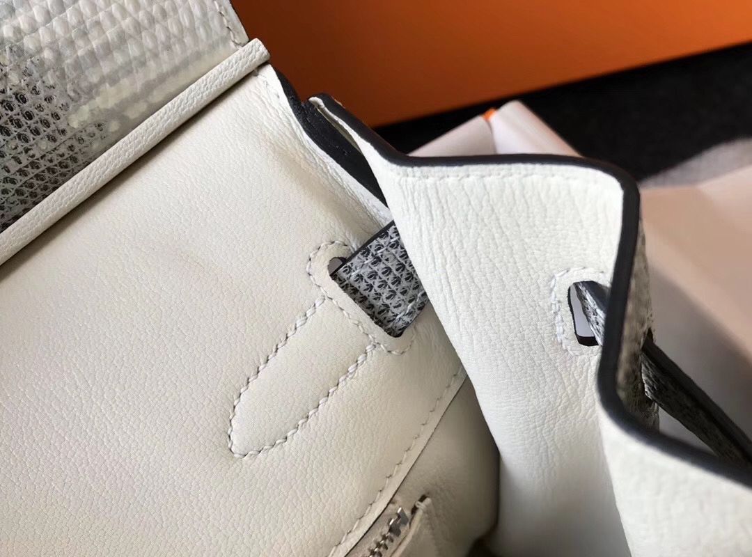 Hermes Birkin 30cm Bag In Ombre Embossed Natural Lizard - Image 9