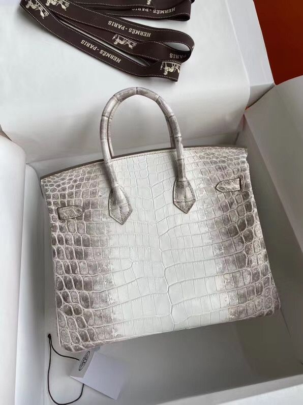 Hermes Diamond Birkin 25cm In Himalaya Niloticus Crocodile Skin - Image 3