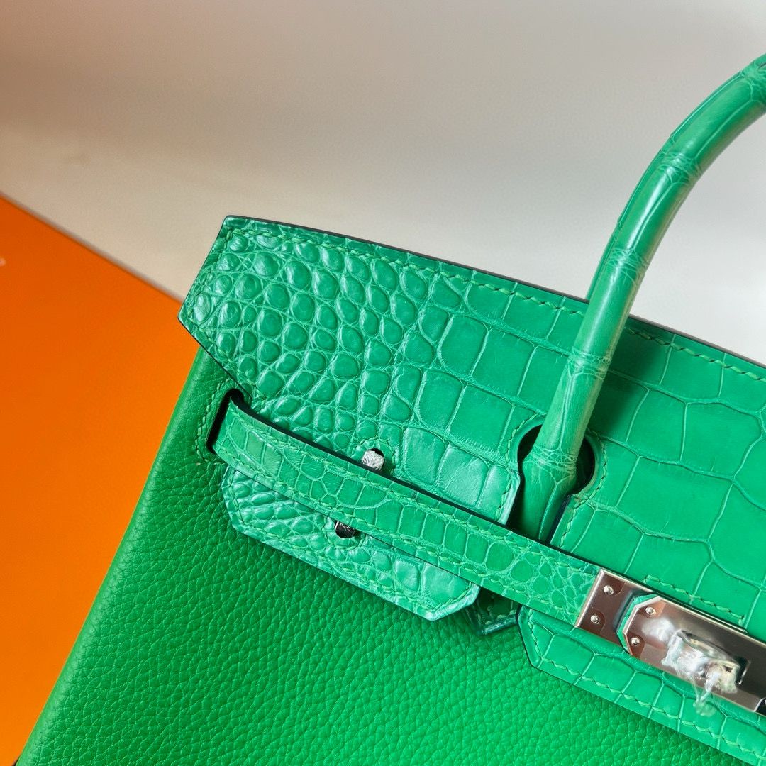 Hermes Touch Birkin 25 Bag in Bambou Clemence and Shiny Alligator Leather - Image 3