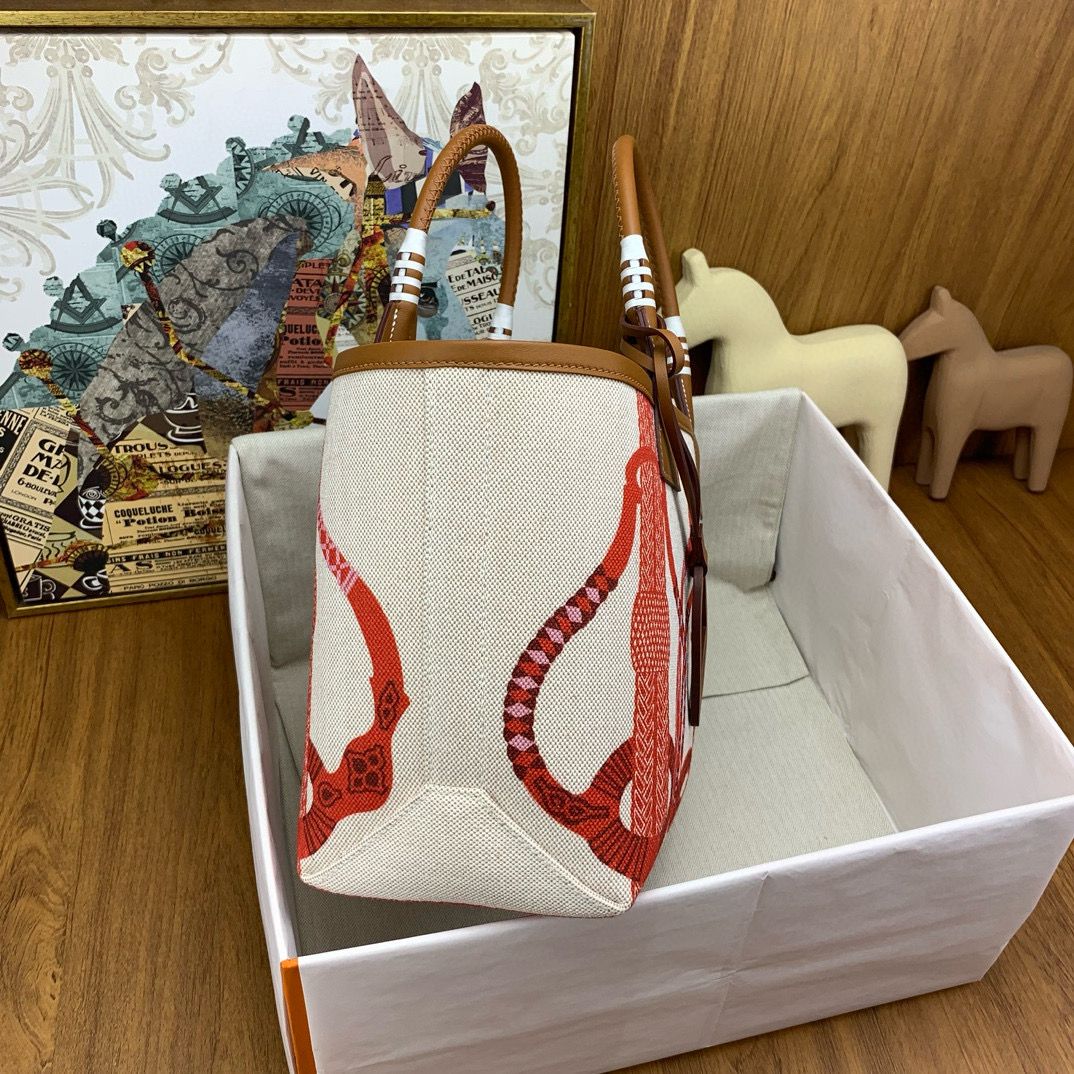 Hermes Steeple 25 Bag in H Plume Canvas with Fantaisie d'Etriers - Image 10